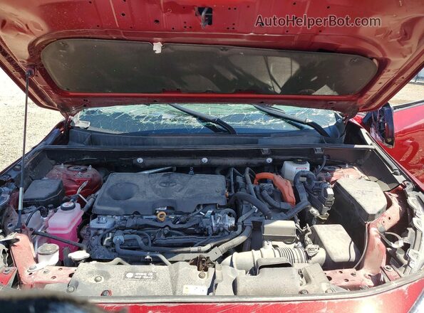 4T3RWRFV5RU127381 2024 TOYOTA RAV4 Maroon 