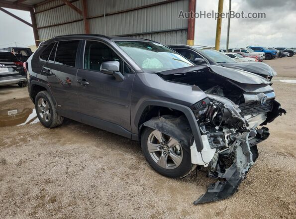 4T3RWRFV5RU160316 2024 TOYOTA RAV4 Gray 