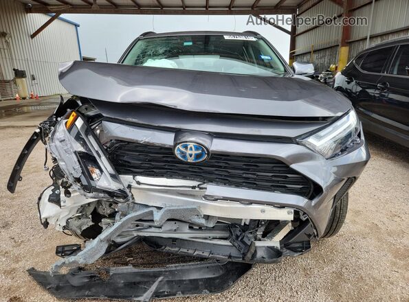 4T3RWRFV5RU160316 2024 TOYOTA RAV4 Gray 
