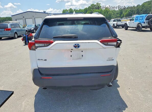 4T3RWRFV6RU115336 2024 TOYOTA RAV4 White Вид ззаду
