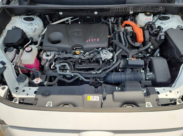4T3RWRFV7PU105007 2023 TOYOTA RAV4 White უკანა სალონის ხედი