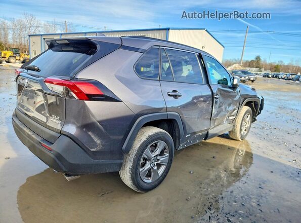 4T3RWRFV7RU117032 2024 TOYOTA RAV4 Gray 