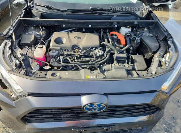 4T3RWRFV7RU117032 2024 TOYOTA RAV4 Gray 