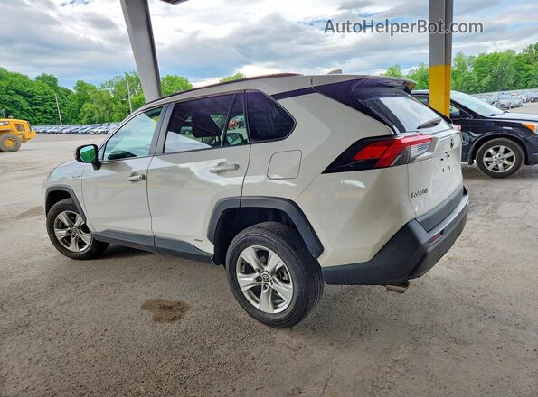 4T3RWRFV8MU046139 2021 TOYOTA RAV4 White Հետևի ձախ