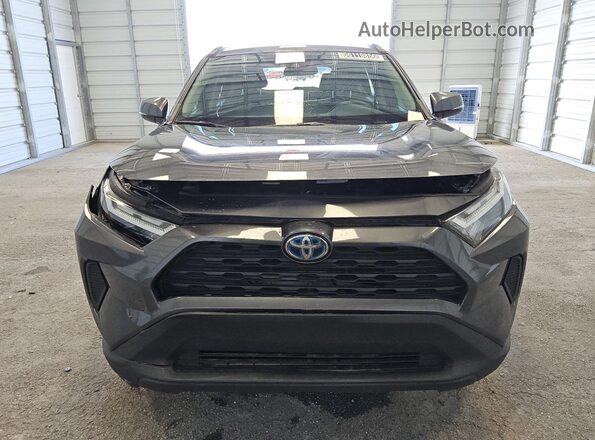 4T3RWRFV8RU121980 2024 TOYOTA RAV4 Gray 360 interior view