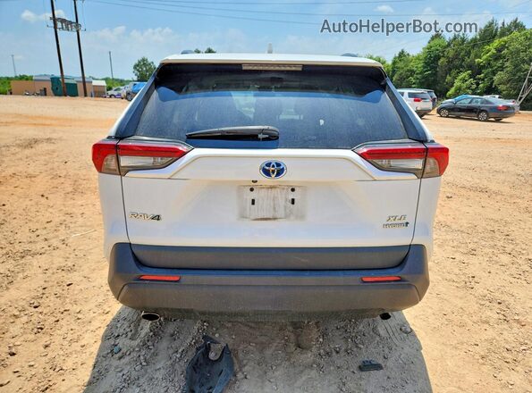 4T3RWRFV9RU135449 2024 TOYOTA RAV4 Белый Вид сзади