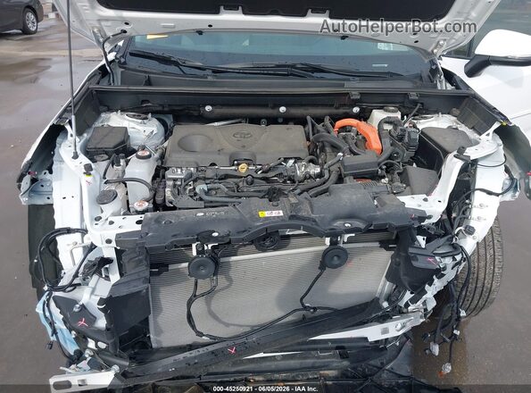 4T3RWRFVXSU201948 2025 TOYOTA RAV4 HYBRID Белый Вид сзади
