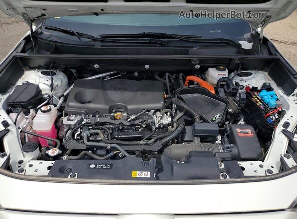 4T3T6RFV3NU100261 2022 TOYOTA RAV4 White 