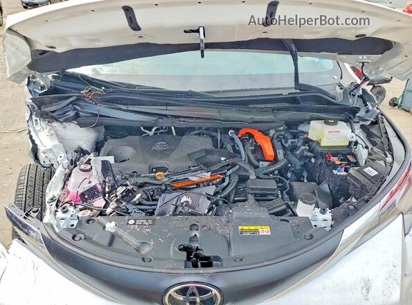 5TDYSKFC2TS251775 2026 TOYOTA SIENNA White 