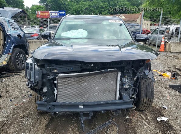 5XYP6DGC1SG677835 2025 KIA TELLURIDE Серый Вид сзади
