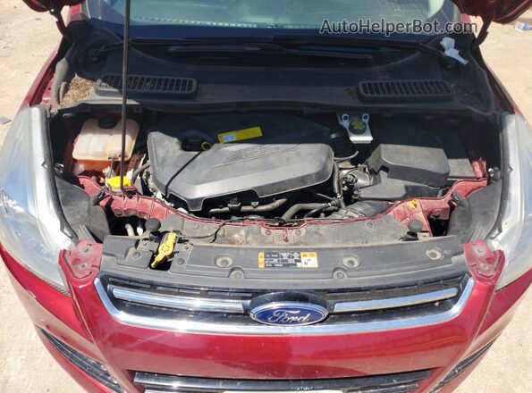 1FMCU9JX0GUA37050 2016 FORD ESCAPE Red VIN կոդի պիտակի տեսք