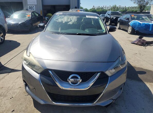 1N4AA6AP1GC904549 2016 NISSAN MAXIMA Gray Հետևի տեսք