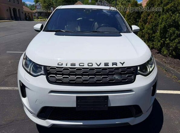 SALCT2FX4LH837353 2020 LAND ROVER DISCOVERY White Rear view