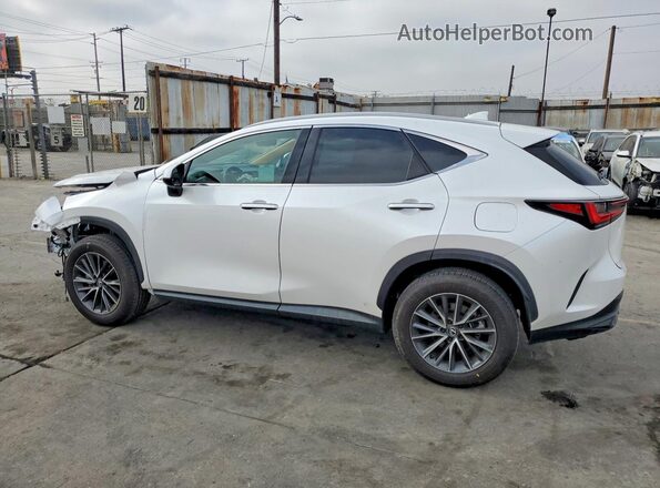 2T2ADCAZ2SC030015 2025 LEXUS NX White Հետևի աջ