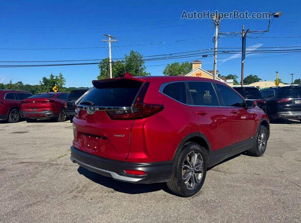 5J6RW2H56LL018663 2020 HONDA CR-V Burgundy 