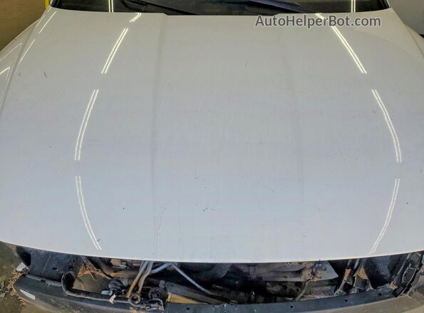 5NMJB3DEXSH460906 2025 HYUNDAI TUCSON Белый 