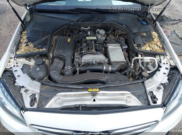 55SWF4JB4JU249855 2018 MERCEDES-BENZ C-CLASS Белый Вид сзади