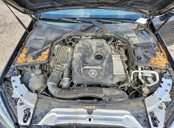 55SWF4JB7JU264060 2018 MERCEDES-BENZ C Black Vista interior trasera