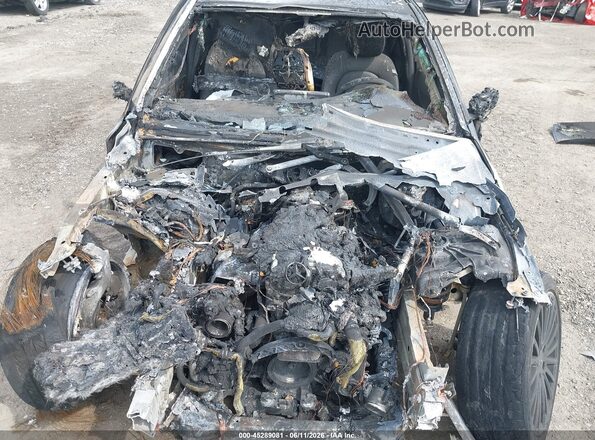 55SWF8EB8KU302589 2019 MERCEDES-BENZ C-CLASS Черный Вид сзади
