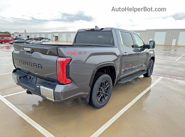 5TFMA5DB6RX134104 2024 TOYOTA TUNDRA Gray 