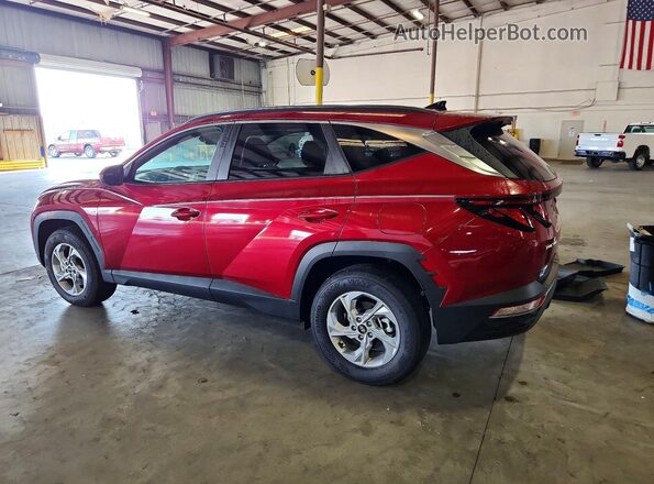 5NMJBCDE4RH411405 2024 HYUNDAI TUCSON Красный Задняя правая четверть