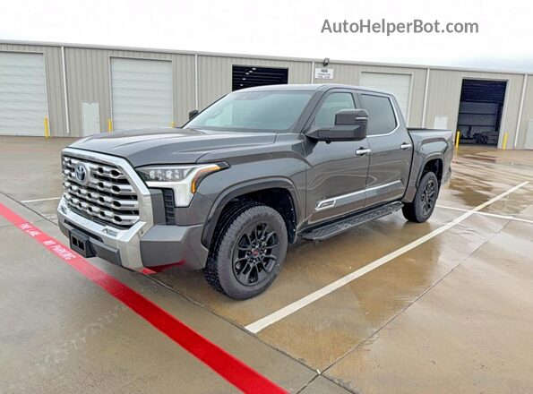 5TFMA5DB6RX134104 2024 TOYOTA TUNDRA Gray 