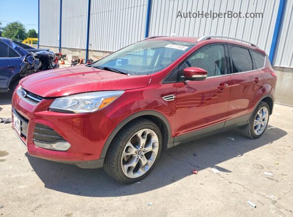 1FMCU9JX0GUA37050 2016 FORD ESCAPE Red Հետևի ձախ