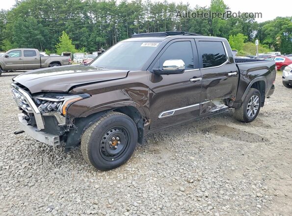 5TFMA5DB7SX305948 2025 TOYOTA TUNDRA Коричневый Задняя левая четверть