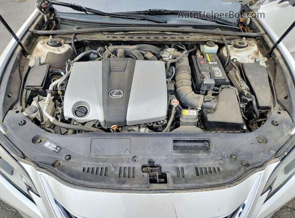 58ABZ1B14KU034968 2019 LEXUS ES White Սալոնի հետևի տեսք