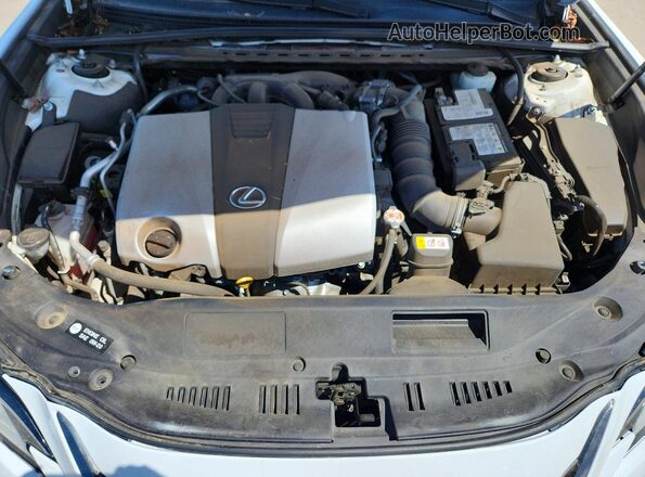 58ABZ1B16KU012194 2019 LEXUS ES White Սալոնի հետևի տեսք