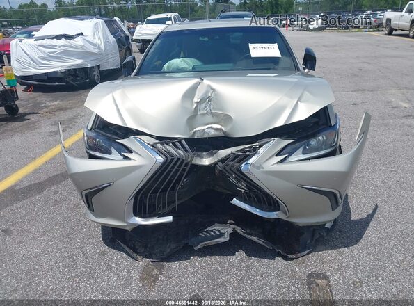 58ABZ1B17KU010020 2019 LEXUS ES 350 Tan წინა ხედი