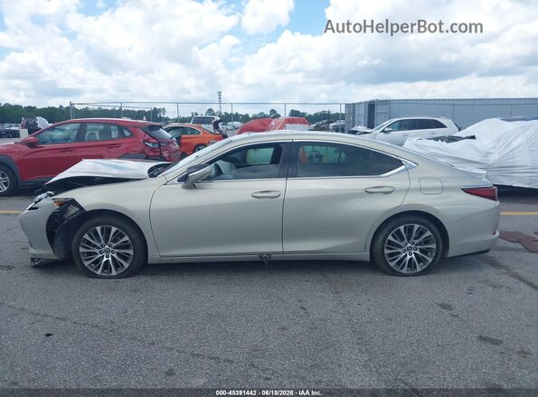 58ABZ1B17KU010020 2019 LEXUS ES 350 Tan სალონის 360-გრადუსიანი ხედი