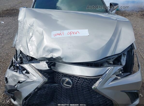 58ABZ1B17KU048900 2019 LEXUS ES 350 Gray Widok z tyłu