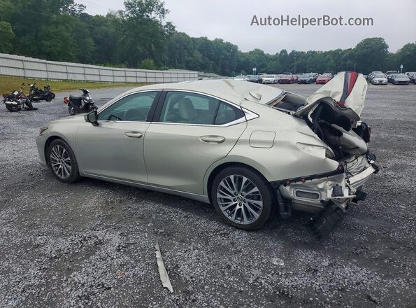 58ABZ1B1XKU004079 2019 LEXUS ES Gold Задня ліва чверть
