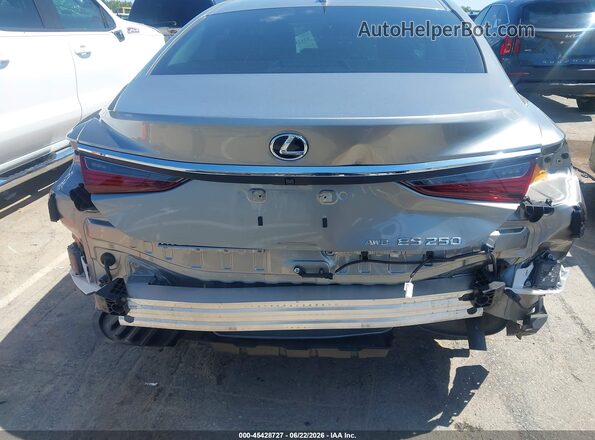 58AD11D18MU007918 2021 LEXUS ES 250 Gray Front view
