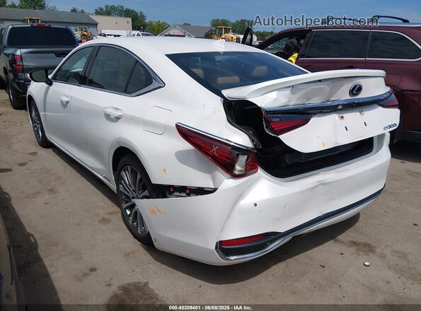 58AD21B11LU005846 2020 LEXUS ES 300H White უკანა მარცხენა