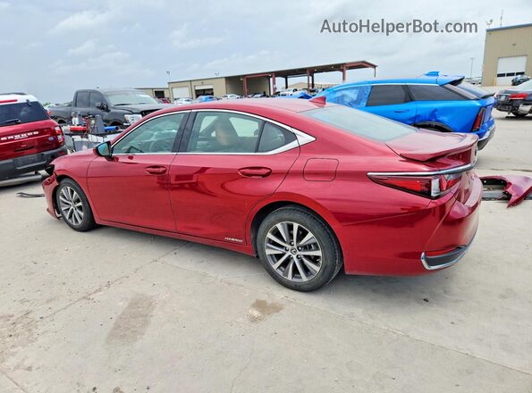 58AD21B11LU012456 2020 LEXUS ES Red Հետևի ձախ