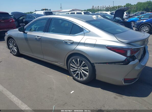 58AD21B13LU011700 2020 LEXUS ES 300H Gray 