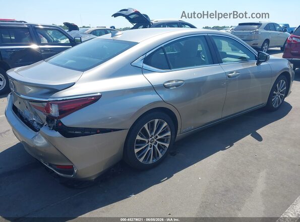 58AD21B13LU011700 2020 LEXUS ES 300H Gray 