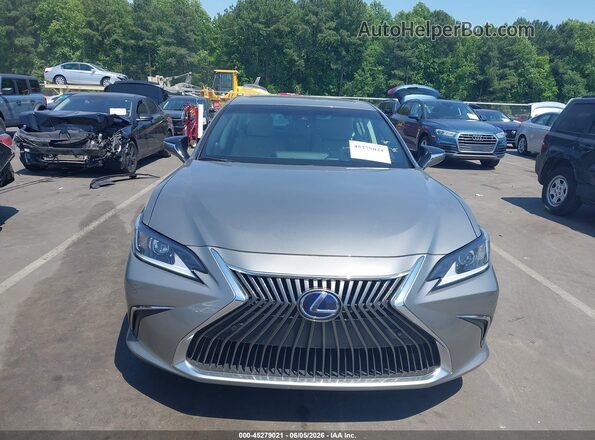 58AD21B13LU011700 2020 LEXUS ES 300H Gray 