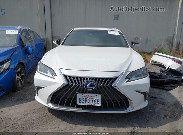 58AD21B15LU012430 2020 LEXUS ES 300H White Սալոնի հետևի տեսք