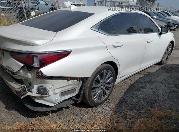58AD21B15LU012430 2020 LEXUS ES 300H White Հետևի աջ
