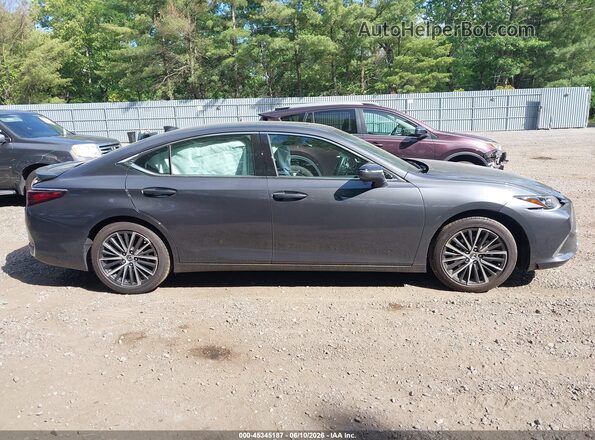 58ADA1C10SU063687 2025 LEXUS ES 300H Gray Սալոնի հետևի տեսք