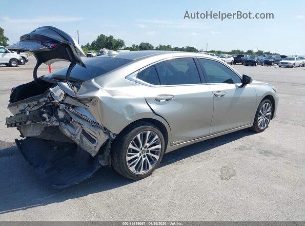 58ADA1C15MU010082 2021 LEXUS ES 300H Gray Հետևի աջ
