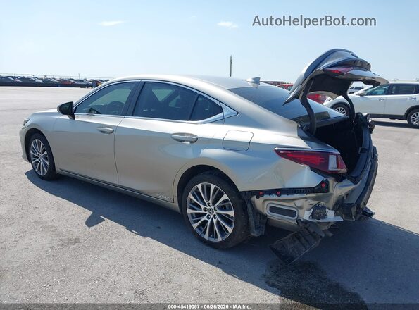 58ADA1C15MU010082 2021 LEXUS ES 300H Gray Հետևի ձախ