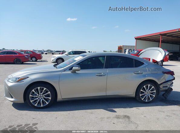 58ADA1C15MU010082 2021 LEXUS ES 300H Gray 