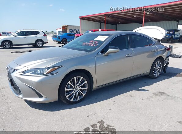 58ADA1C15MU010082 2021 LEXUS ES 300H Gray Առջևի ձախ երեք քառորդ տեսարան