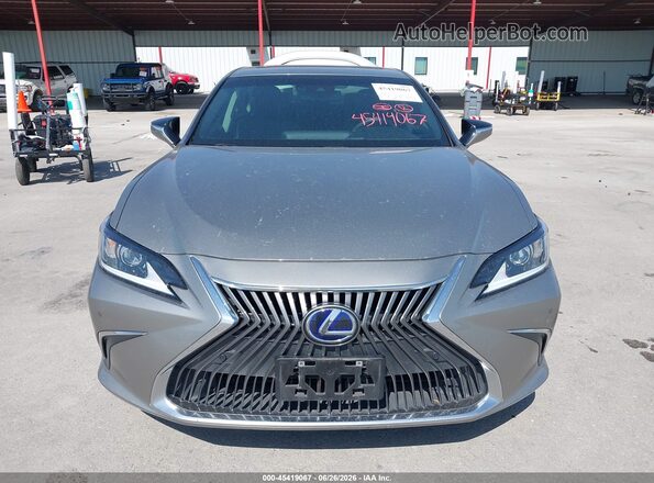 58ADA1C15MU010082 2021 LEXUS ES 300H Gray Սալոնի հետևի տեսք