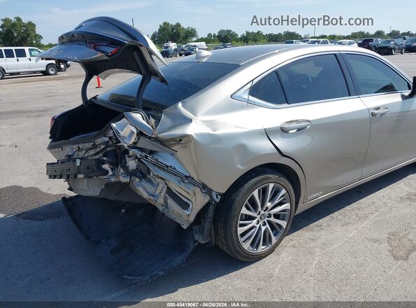 58ADA1C15MU010082 2021 LEXUS ES 300H Gray 