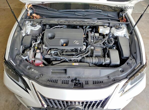 58ADA1C19RU037180 2024 LEXUS ES White უკანა სალონის ხედი